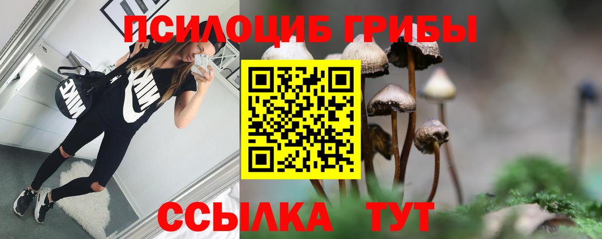 Псилоцибиновые грибы GOLDEN TEACHER  Галлюциногенные грибы Cubensis  Каменка  Вход с VPN 